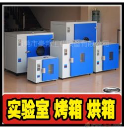 烘箱,實(shí)驗(yàn)室烘箱,精密烘箱
